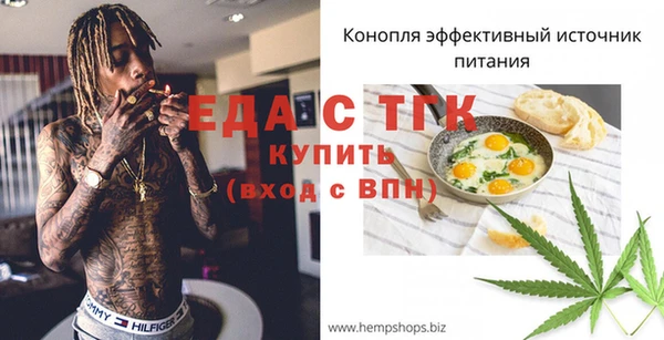 гидра Новозыбков