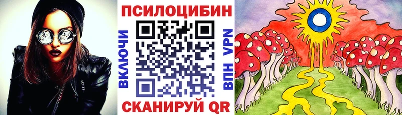 Псилоцибиновые грибы GOLDEN TEACHER цена наркотик Полярные Зори
